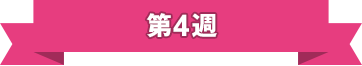 第4週